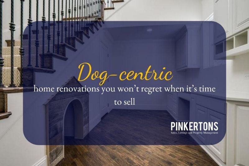Dog-centric home renovations you won’t regret when it’s time to sell